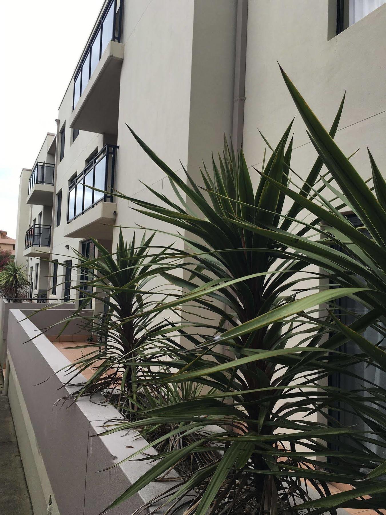 Wollongong Serviced Apartments Exteriér fotografie